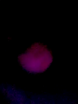 Snapshot of 061190 chatting on March 22, 2026, 2:20 pm 061190 online show from March 22, 2026, 2:20 pm