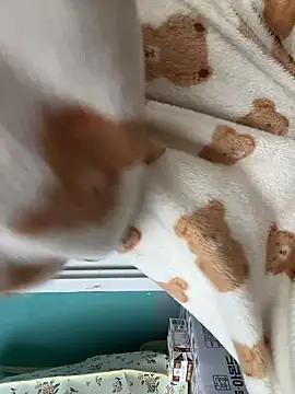 wjddjwjd online show from March 12, 2026, 8:20 am