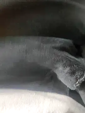 3D-telugu online show from March 19, 2026, 6:06 am