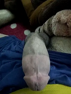 amirMohamed58 online show from February 23, 2026, 9:23 pm