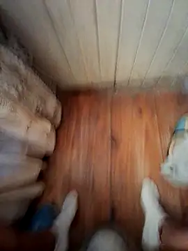 Franco10 - online show from February 15, 2026, 9:11 pm