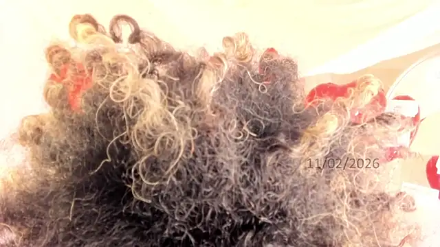 Brit weston online show from February 11, 2026, 9:42 pm