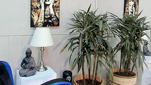 kai storn online show from May 20, 2026, 10:54 am