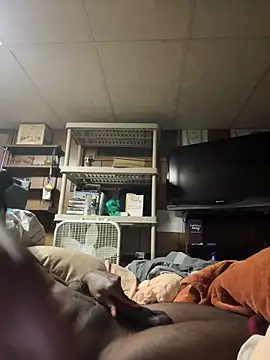 ProveYourLoyalty2 online show from March 19, 2026, 8:40 am