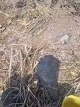 Cute Boy 4 online show from March 20, 2026, 10:09 am