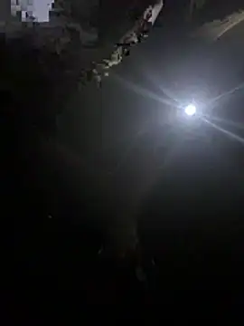 makemestayhard online show from March 6, 2026, 4:53 am