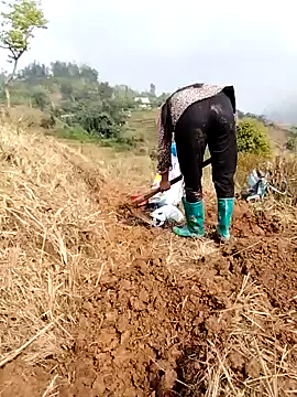 Tina-beo online show from March 24, 2026, 1:43 am