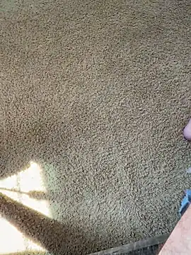 bwcjay2026 online show from March 16, 2026, 6:34 pm