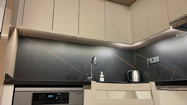 BlackFox V online show from March 28, 2026, 9:25 pm