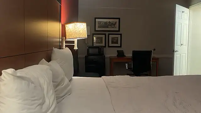 Bigassbottom714 online show from February 8, 2026, 9:02 am