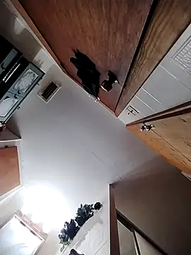 chad23162 online show from February 13, 2026, 4:58 pm