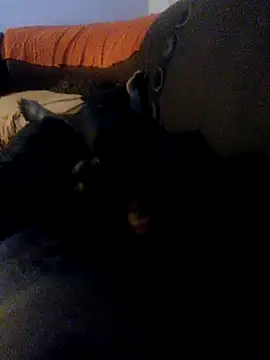 sbudalho online show from February 5, 2026, 8:57 pm