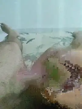 Snapshot of putopau15 chatting on March 24, 2026, 12:04 am putopau15 online show from March 24, 2026, 12:04 am