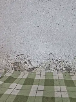 Mey mey2k3 online show from March 18, 2026, 4:48 am