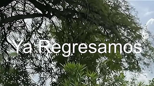 LauLph online show from February 3, 2026, 2:53 am