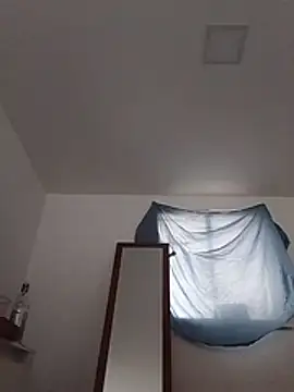 luissiq online show from February 4, 2026, 1:17 pm