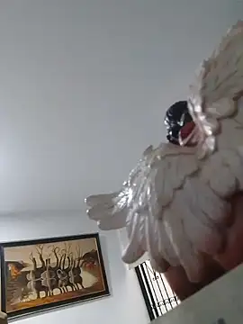 joanmanci1046 online show from February 3, 2026, 12:54 pm