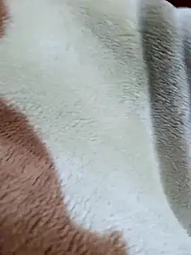 Vhi52 online show from April 27, 2026, 10:08 pm