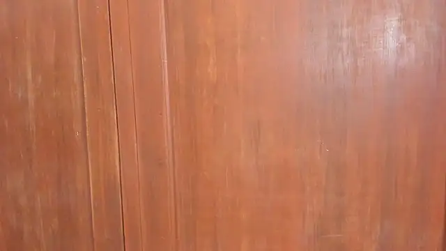 Sophiia88 online show from February 18, 2026, 12:01 pm