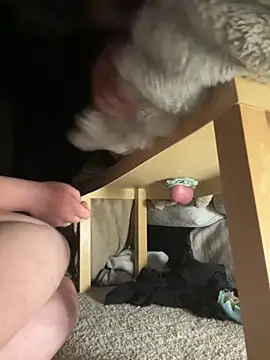 ariaandcolton online show from February 3, 2026, 7:35 am