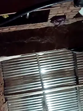 Hot ree64 online show from March 27, 2026, 5:23 pm