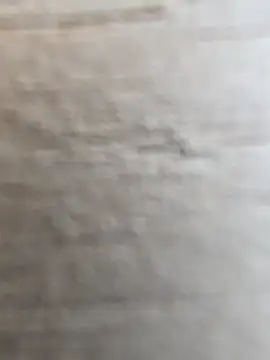 manish 8826 online show from February 12, 2026, 8:42 am