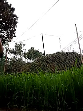 nhynhy11 online show from March 21, 2026, 1:54 am