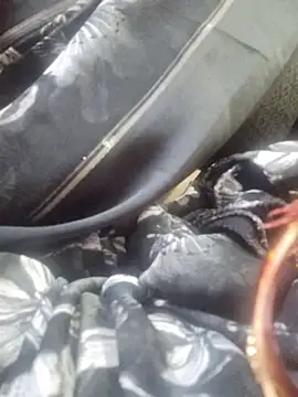 SexybeboX online show from March 19, 2026, 5:44 am