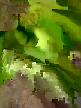 kabylian15 online show from March 31, 2026, 2:39 pm