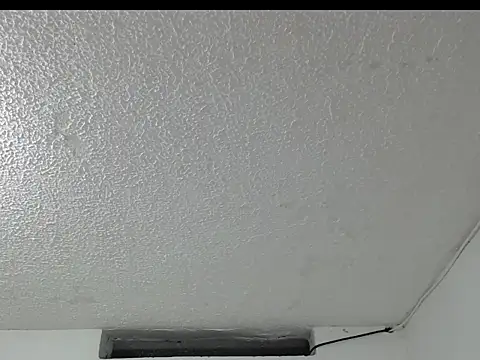 Snapshot of peytonbrunette chatting on April 5, 2026, 4:31 am peytonbrunette online show from April 5, 2026, 4:31 am