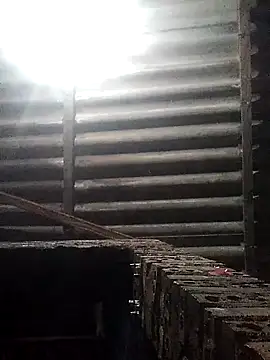 Snapshot of Linka998 chatting on March 16, 2026, 12:17 am Linka998 online show from March 16, 2026, 12:17 am