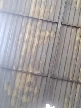 Snapshot of Linka998 chatting on March 27, 2026, 4:40 am Linka998 online show from March 27, 2026, 4:40 am