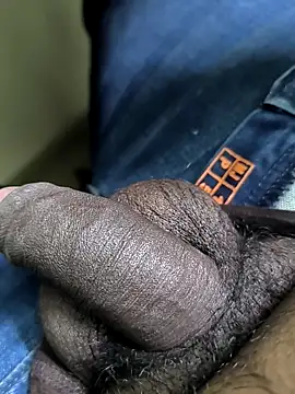 Tamil Bulll online show from February 8, 2026, 9:29 pm