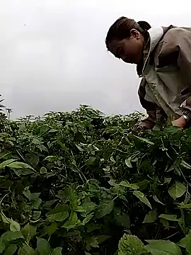 lovely-742 online show from February 28, 2026, 1:50 am