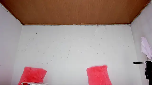 karol kane online show from February 13, 2026, 3:19 pm