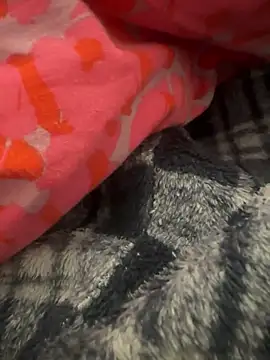 gbox123 online show from February 11, 2026, 4:56 pm