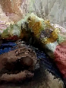 soni8850 online show from February 15, 2026, 4:03 pm