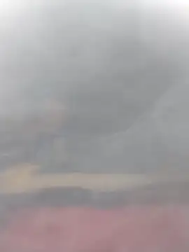 Snapshot of cobrosdepagos chatting on March 14, 2026, 3:06 pm cobrosdepagos online show from March 14, 2026, 3:06 pm