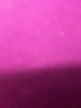 Snapshot of Anya_Volker chatting on April 2, 2026, 12:25 pm Anya Volker online show from April 2, 2026, 12:25 pm