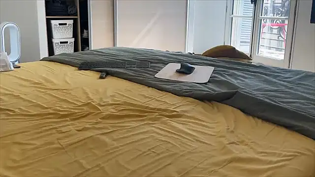 irohsako online show from March 21, 2026, 11:37 am