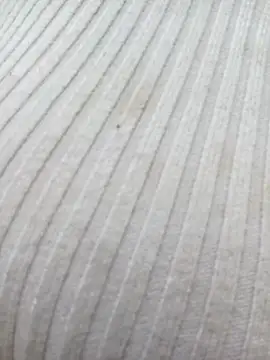 chaoanh11 online show from February 15, 2026, 9:08 am