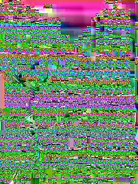 violet-grey online show from July 13, 2026, 3:15 pm