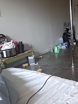 Snapshot of Cinnamonbunn chatting on March 8, 2026, 5:17 pm Cinnamonbunn online show from March 8, 2026, 5:17 pm