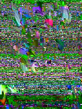 Snapshot of Sukem-mut chatting on April 6, 2026, 7:09 am Sukem-mut online show from April 6, 2026, 7:09 am