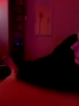 Filthyforall online show from February 23, 2026, 5:49 am