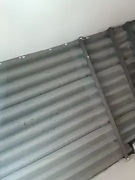 Little-Pussy19 online show from February 24, 2026, 3:43 pm