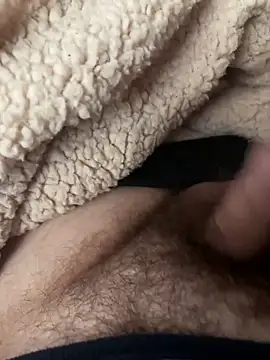 D4n13l47 online show from February 24, 2026, 12:03 pm