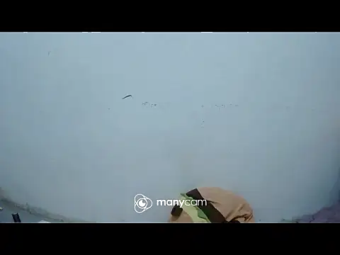 Snapshot of exotic_girl69x chatting on March 4, 2026, 2:45 pm exotic girl69x online show from March 4, 2026, 2:45 pm