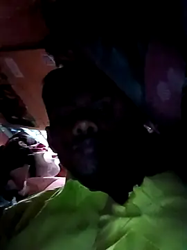 Snapshot of India-Sajan chatting on March 21, 2026, 6:51 am India-Sajan online show from March 21, 2026, 6:51 am