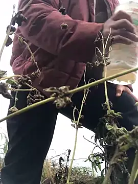 Nth5h online show from March 11, 2026, 4:18 am